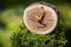 Table Clock - FORESTIME